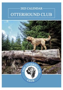 Otterhound Calendar front preview